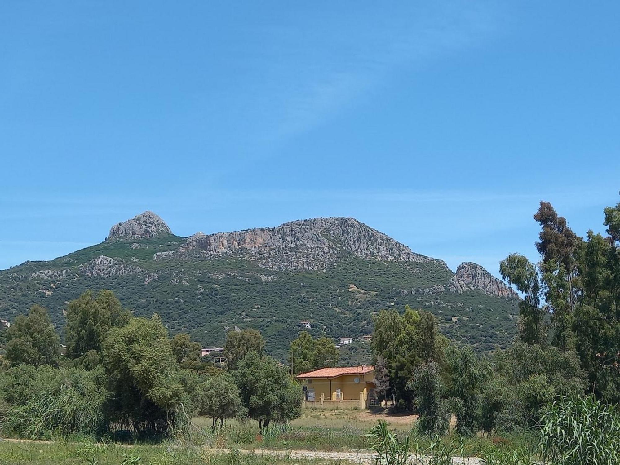 Basecamp Ogliastra - Flat Green Santa Maria Navarrese Ngoại thất bức ảnh